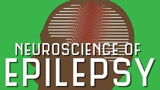 Neuroscience of Epilepsy [upl. by Adeuga]