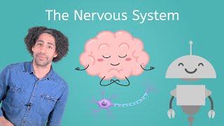 The Nervous System  Life Science for Kids [upl. by Emawk]