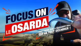 Comment débuter la pêche en mer au leurre souple  Le osarda 2024 [upl. by Hourigan25]