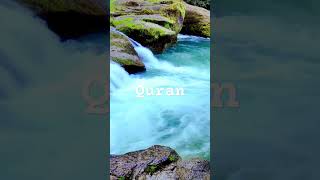 Al Quran Surah Bayyinah Urdu Translation islam quran youtubeshorts [upl. by Nelyahs351]