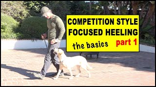 Competition Focused Heeling part 1 foundation  Dog Training Video [upl. by Ardnuhsor290]