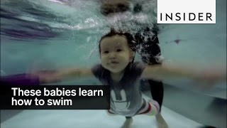 These babies get thrown into the deep end to learn how to swim [upl. by Lira574]