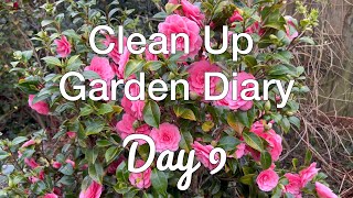 Gardening Diary  Garden Transformation  Magnolias  Camellia  Spring Blooms  Garden Maintenance [upl. by Ennove]