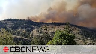 More than 300 properties in BC Interior ordered to evacuate as wildfire spreads [upl. by Cristina]