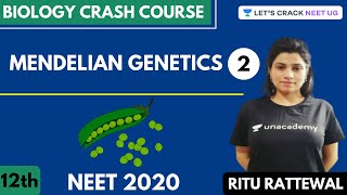 Mendelian Genetics  Part 2  Biology Crash Course  Class 12th  NEET Biology  NEET 2020 [upl. by Einnaoj85]