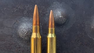 338 Lapua vs 300 Win Mag CLOSER Than You Think On Mild Steel [upl. by Grider]