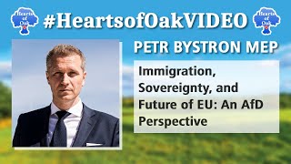 Petr Bystron MEP  Immigration Sovereignty and the Future of EU An AfD Perspective [upl. by Ringler934]