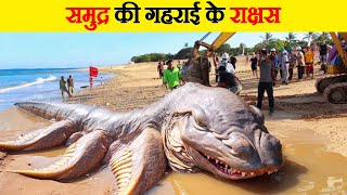 पानी में रहने वाले इन राक्षसों से सावधान  Beware of these Monsters Living in Water [upl. by Eitsud]