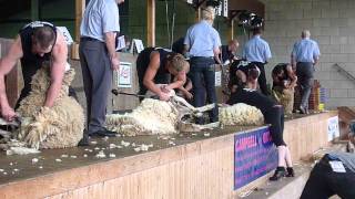 Highland Show 2013 Sheep shearing Senior final [upl. by Neysa]