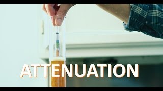 Attenuation Explained  Beer Physics [upl. by Sandra]