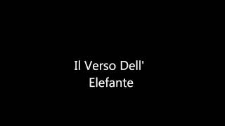 Il Verso DellElefante Video Interattivo [upl. by Margeaux]