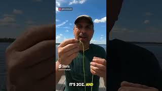 Crabbing on a budget  hand lining Watch How BlueCrabs ChickenLegs HowToCrab [upl. by Menashem970]