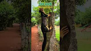 Eco Park mangalagiri naturelover outdoors travel viralvideo narasaraopet guntur mangalagiri [upl. by Oretna]