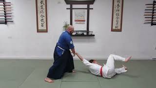 American Yoshinkan Aiki Jujutsu  Bret Gordon Trio Martial Arts Academy [upl. by Yeldarb]