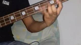 Lapiz labial Los felinos cover bass [upl. by Mikal15]