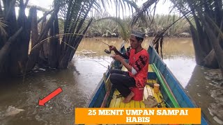 Di Kalimantan Ikan Ini Sangat Murah Spot Ikan Hitam Licin anakmahakamfishing [upl. by Neivad]