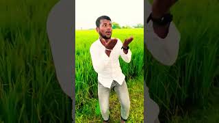 जब हवा से अचरा उड़े कहे भाभी हो भाभी 🥰🥺 bhojpuri dance song popular youtubeshorts trending [upl. by Yelhak]