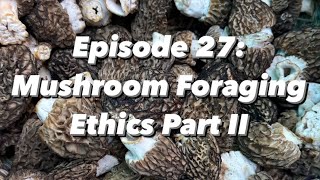 Fascinated By Fungi Podcast Episode 27 Mushroom Foraging Ethics Part II [upl. by Fitalludba277]