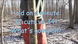 Why an angled back cut is dangerous and unecessary when hinge cutting a tree [upl. by Maier611]