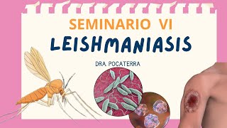 Seminario leishmaniasis  Dra Pocaterra EJMV UCV 2024 [upl. by Ociral392]