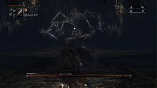 Bloodborne  Amygdala Defiled Chalice Boss Fight [upl. by Blus]