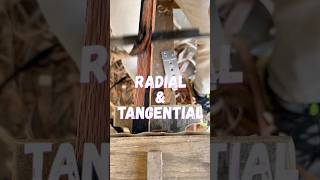 Radial or Tangential… craft diywoodworking diy chairmaker carpentry wood craft woodworking [upl. by Whalen]