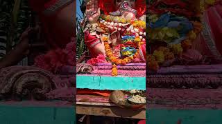 आमचा बाप्पाshortsvideo cutebappa ganpatibappamorya reels ganeshfestival devotionalmusic viral [upl. by Ellennoj]