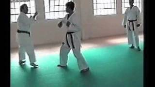 Zen Karate Do  San Pietro Vernotico [upl. by Adnamaa354]