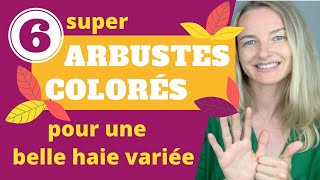 6 super arbustes COLORÉS pour une belle HAIE VARIÉE [upl. by Sumedocin]