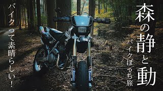 森の静と動 quotThe stillness and motion of the forest on a motard bikequot xr250motard 自然 nature [upl. by Nappy]