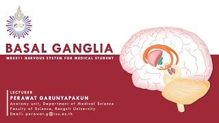 REC MDS211 Basal Ganglia LECTURE SESSION [upl. by Mowbray309]