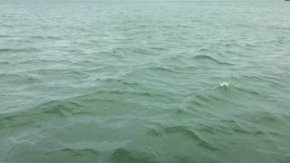 FaithND on a Boat in the Sea of Galilee [upl. by Grodin]