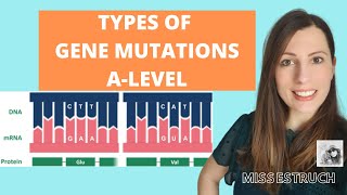 Type of GENE MUTATIONS Alevel Biology Do you know the 6 types of gene mutations [upl. by Leirda]