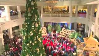 Celine Dion christmas songs high noteswmv [upl. by Ettecul]