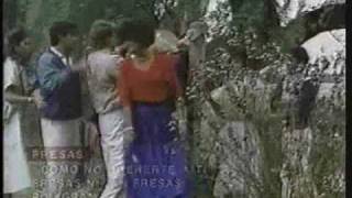 Fresas  Cómo no quererte a ti video oficial [upl. by Aenit]