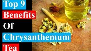 Top 9 Benefits Of Chrysanthemum Tea  Health Benefits [upl. by Arem159]