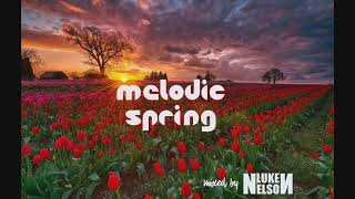 Luke Nelson  Melodic Spring 2024 [upl. by Schild]