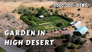 Is it Possible to Plant a Tree in the Desert  Learn How with Oasis Park [upl. by Haleehs]