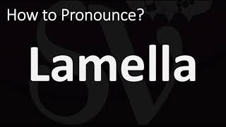 How to Pronounce Lamella CORRECTLY [upl. by Aivatco]