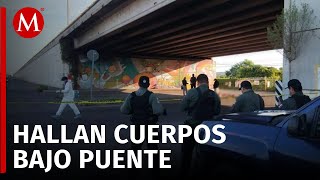 Aparecen seis ejecutados en Culiacán tras ola de violencia en Sinaloa [upl. by Safier]