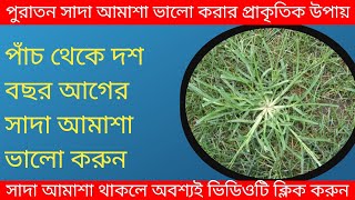 সাদা আমাশা ভালো করার উপায়amasa valo korar upayamasa paikhana valo korar upayRana vision 2 [upl. by Clarissa]