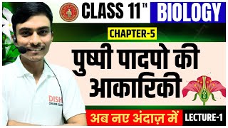 पुष्पी पादपों की आकारिकी कक्षा 11 Biology class 11 chapter 5 hindi medium  Lecture1 [upl. by Hazel275]