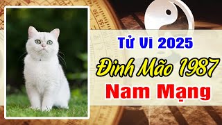 Xem Tử Vi Nam Mạng Tuổi Đinh Mão 1987 Năm 2025 Ất Tỵ  Nổ Lộc Trúng Lớn Tiền Về Như Nước [upl. by Hortense]