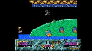 Ghouls N Ghosts Amiga Longplay 1989 US Gold [upl. by Pandolfi]