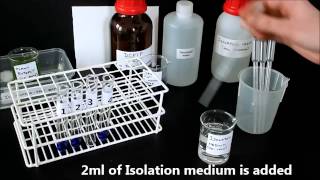 Photosynthesis in chloroplasts Hill Reaction [upl. by Odlanier619]