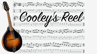 Cooleys Reel  Mandolin Tab [upl. by Pamelina480]