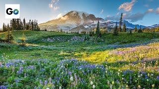 Mount Rainier National Park [upl. by Brie233]