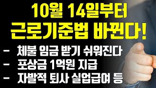 바뀌는 근로기준법 10월 14일부터 달라집니다 개정되는 4가지 꼭 확인하세요 [upl. by Rooker]