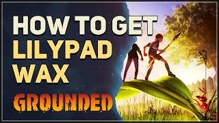 How to get Lilypad Wax Grounded [upl. by Pownall713]