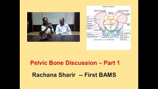 Pelvic Bone Part 1 l Anatomy l First BAMS l Rachana Sharir [upl. by Bills324]